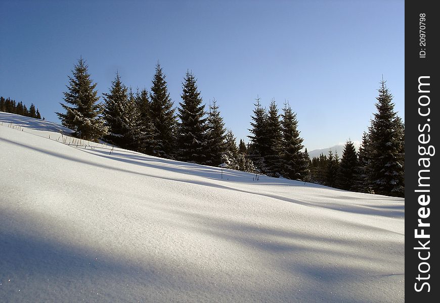 Winter mountains, snow slope, forest of fir-trees. Winter mountains, snow slope, forest of fir-trees