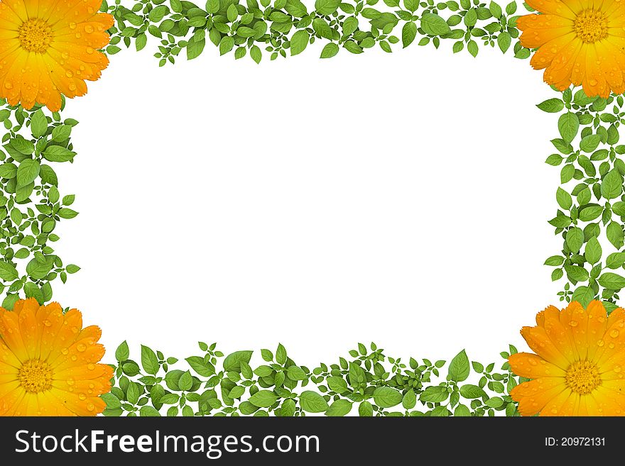 Green plant frame with yellow flowers. Green plant frame with yellow flowers.