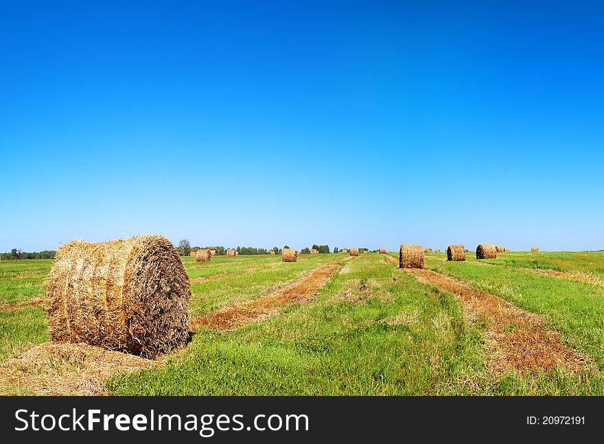 Harvested field with straw bales. Harvested field with straw bales