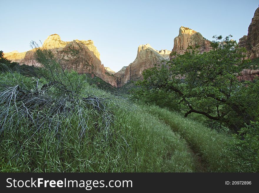 Three Patriarchs In Zion Canyon