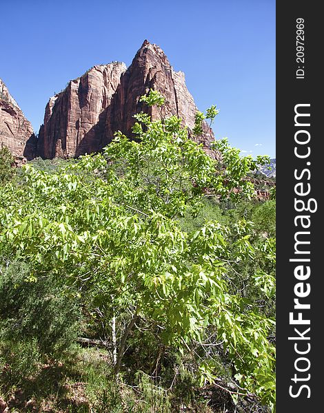 Zion Canyon National Park, Utah