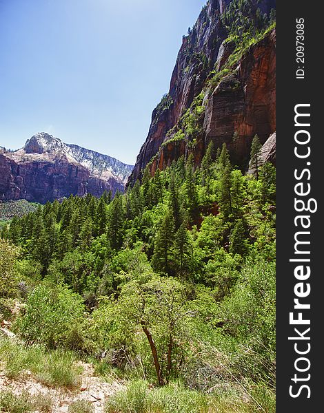 View of the valley in the Zion Canyon National Park, Utah, USA