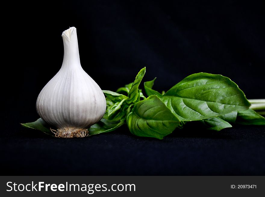 A perfect head of garlic rests on fresh basil leaves, black background. A perfect head of garlic rests on fresh basil leaves, black background