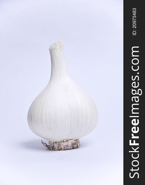 A head of garlic on a white background