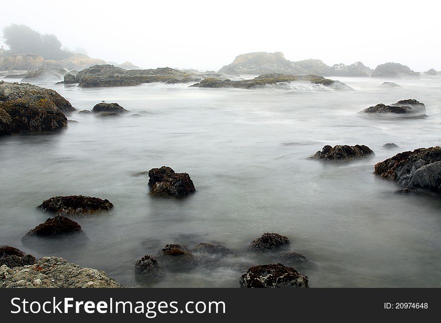 Evening Fog in Sea Ranch, on the Sonoma-Mendocino coast