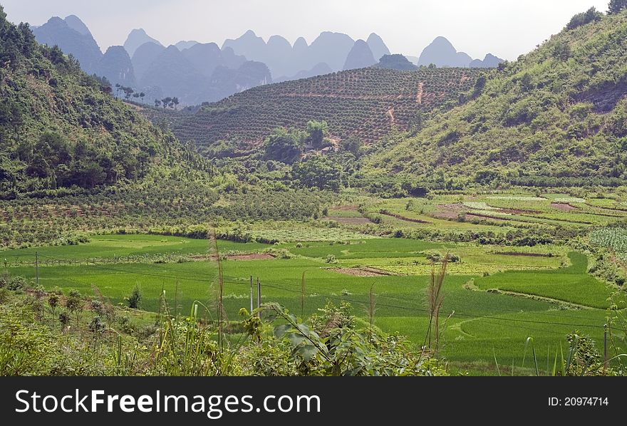 Mountain and rice fields of Yangshuo. China, Guilin, Asia.