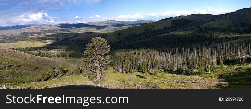 Chittena Valley in Yellowstone National Park, A beautiful landscape view with cloud shadows