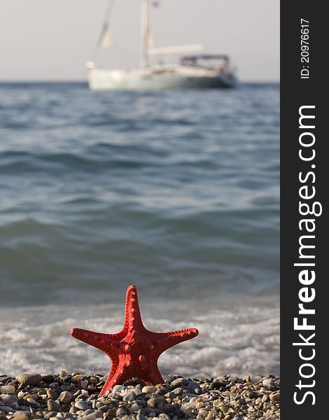 Starfish on the sand with boat. Starfish on the sand with boat