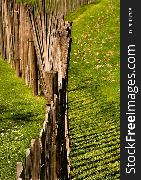 A wood fence in a garden