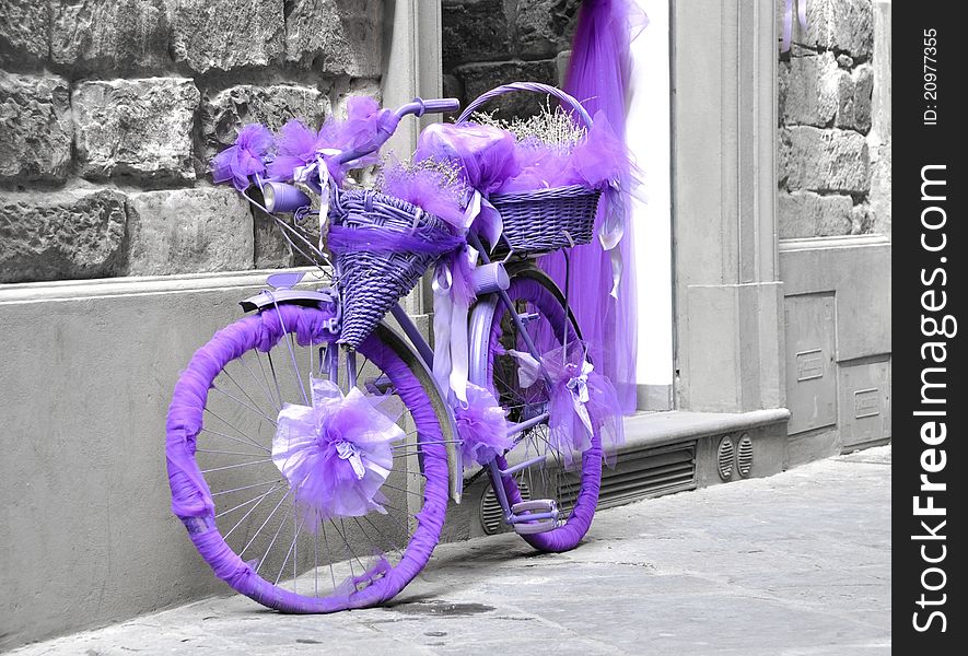 Vintage bicycle wrapped in purple fabric, black and white background. Vintage bicycle wrapped in purple fabric, black and white background