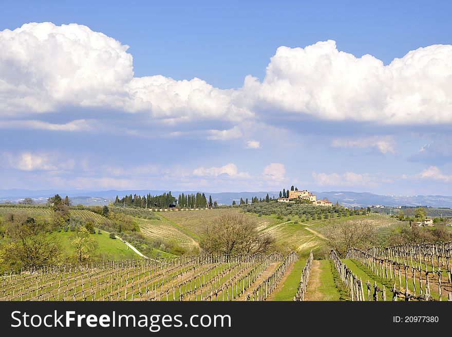 Vineyard landscape in Tuscany, Italy. Vineyard landscape in Tuscany, Italy