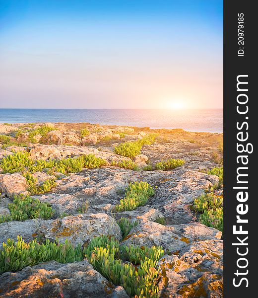 Stones into the sea on sunny sky background