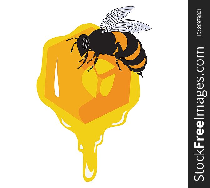 The vector bees and honeycomb with honey eps file
