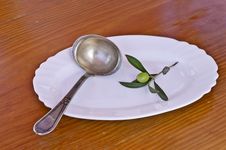 Olive Branch Stock Photos Olive Branch Stock Photos