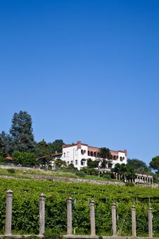 Italian Charming Villa In Vineyard Royalty Free Stock Images Italian Charming Villa In Vineyard Royalty Free Stock Images
