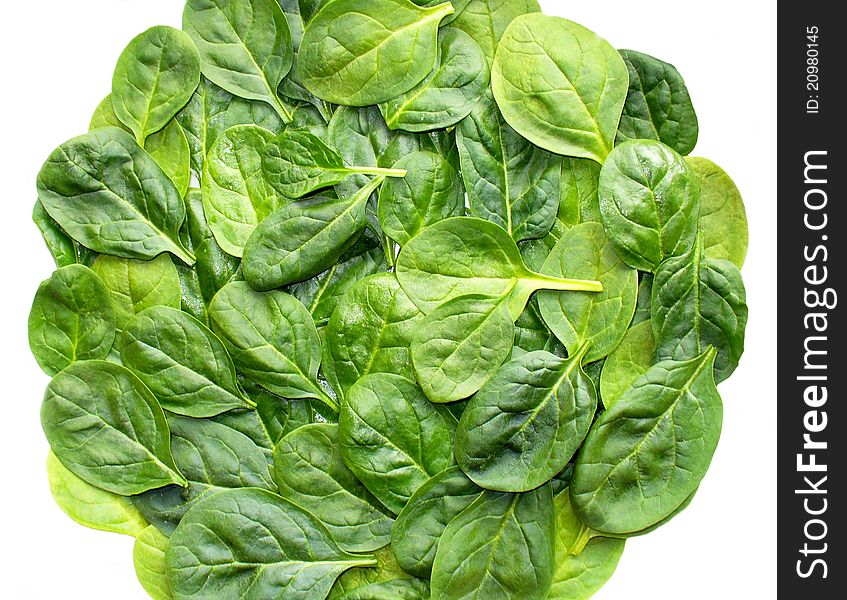 Fresh spinach on a white background