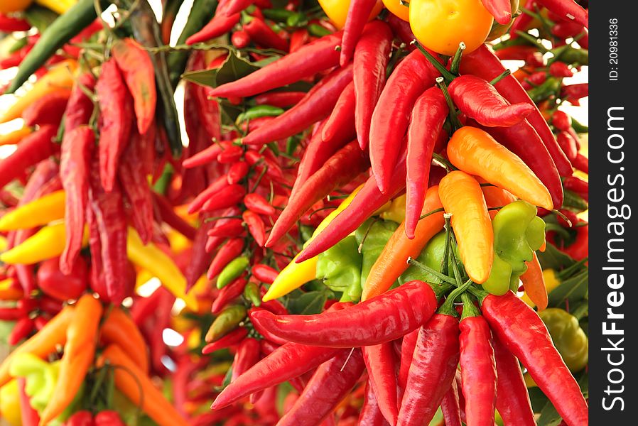 Bunches of colorful bright hot chili peppers at outdoor market. Bunches of colorful bright hot chili peppers at outdoor market