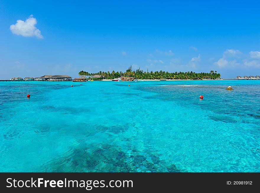 Maldives white beach and the blue sea. Maldives white beach and the blue sea