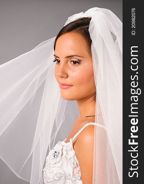 Beautiful bride under veil on studio neutral background. Beautiful bride under veil on studio neutral background