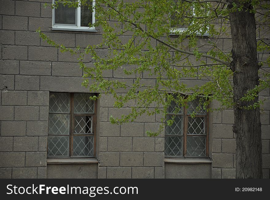 A poplar with a gray building on a background