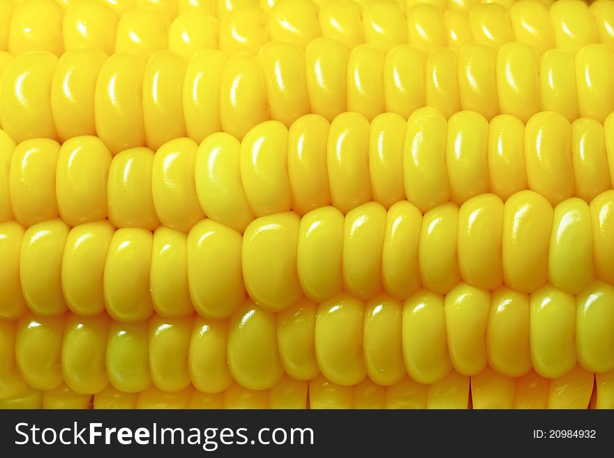 Yellow corn close up background