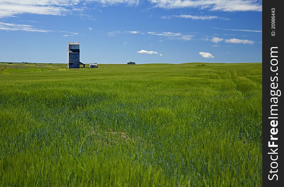 Wheat field and grain elevator