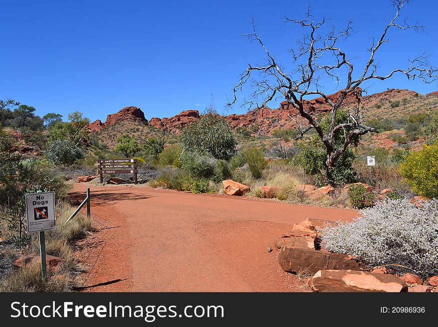 Dead tree near path in Kings Canyon, Northern Territory, Australia. Dead tree near path in Kings Canyon, Northern Territory, Australia