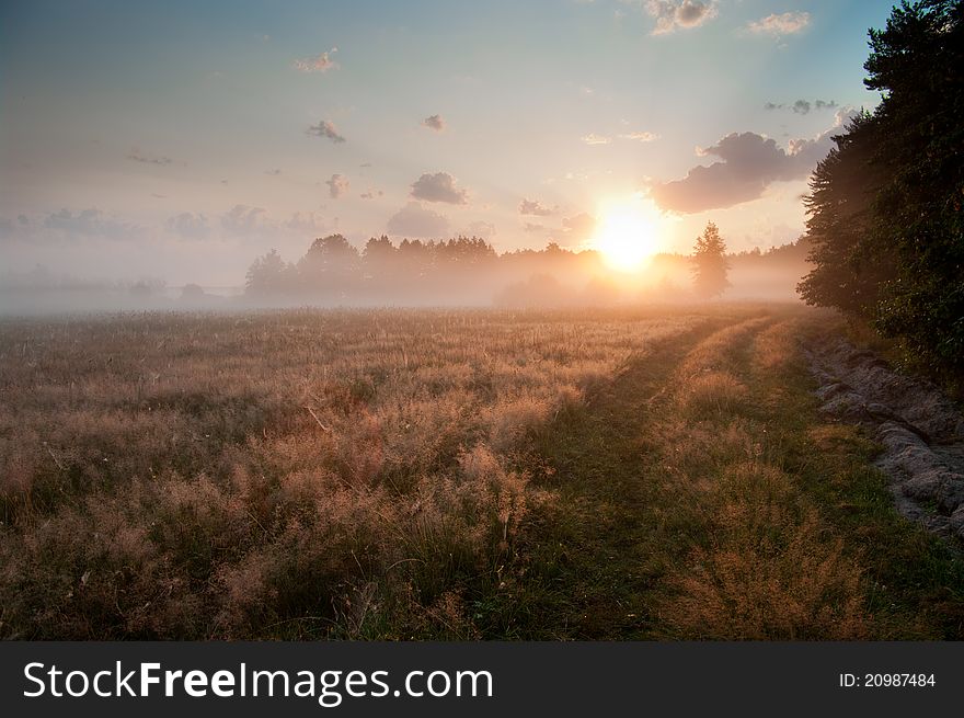 Fresh atmosphere of the sunrise over a field of steppe