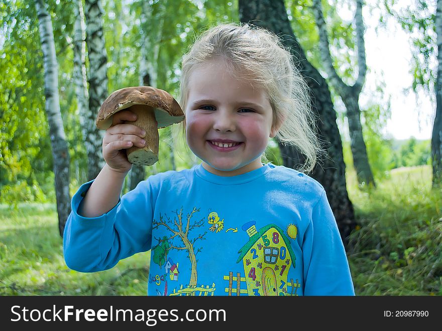 The child in wood collects ceps. The child in wood collects ceps