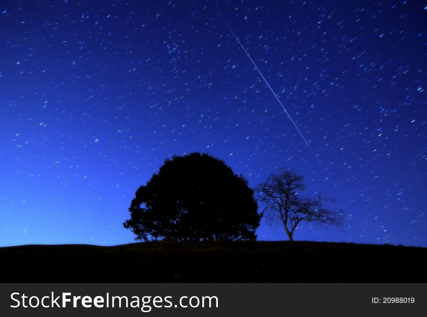 Tree&star