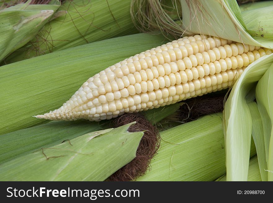 Corn, Corn On The Cob