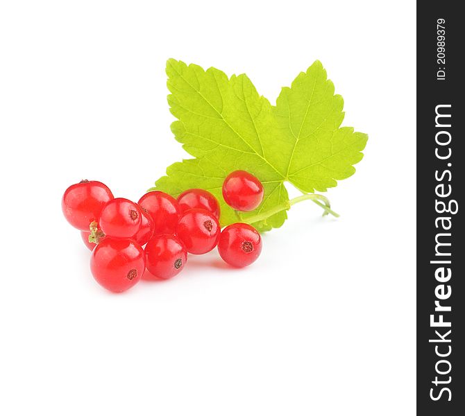 Isolated currant on a white background