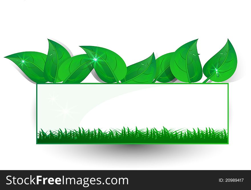 Background Green Banner Petal