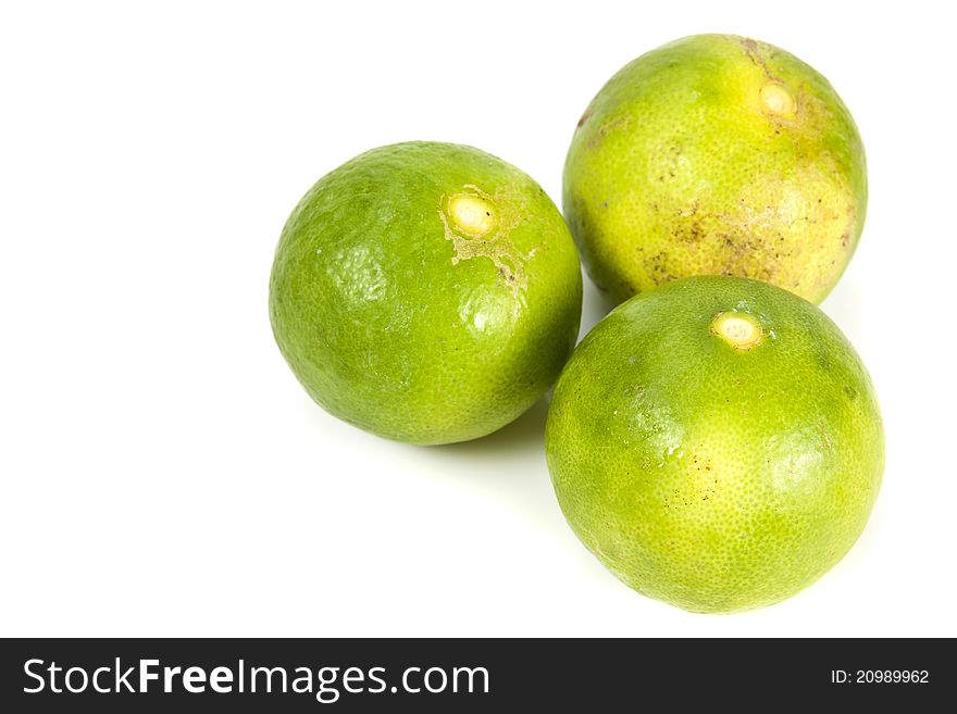 Group of fresh lime on the white background with blank text copy space