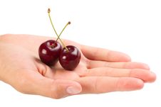 Red Ripe Cherries In The Hand Stock Images