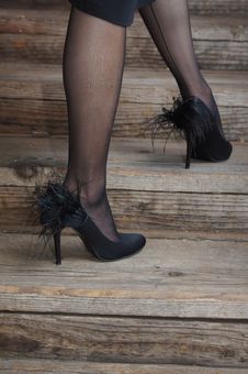 Legs With Black Stockings And Feather Shoes Royalty Free Stock Images Legs With Black Stockings And Feather Shoes Royalty Free Stock Images