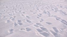 Footprints On White Sand Beach Royalty Free Stock Photography Footprints On White Sand Beach Royalty Free Stock Photography