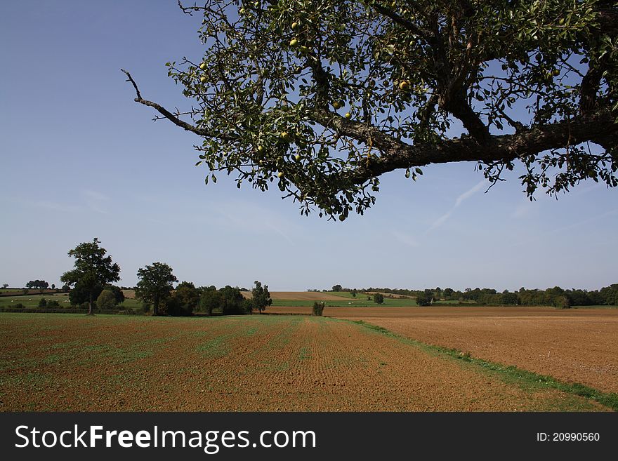 Landscape of the cher, france