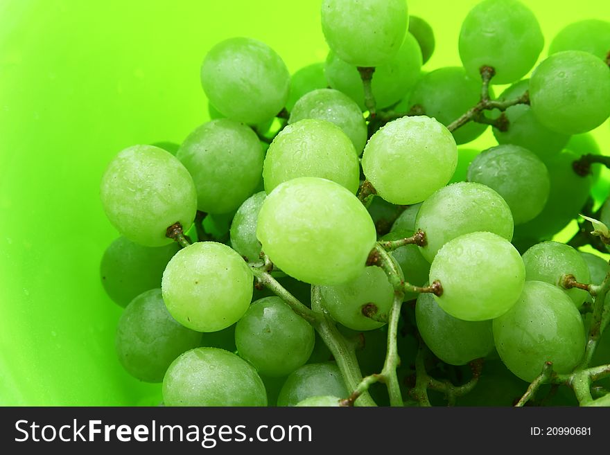 Bright Green Background With Wet Grape