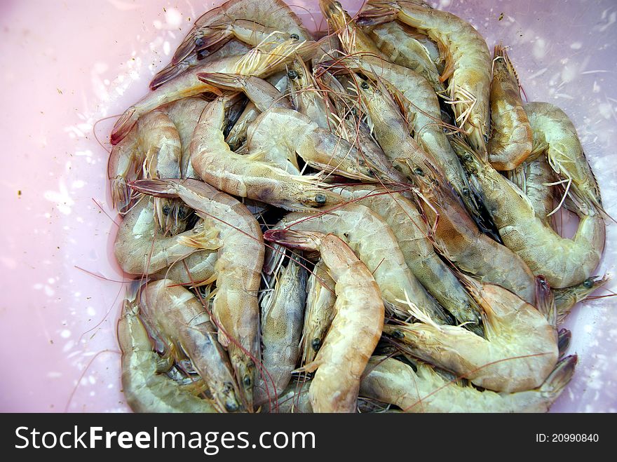 Seafood market shrimp. A close-up of shrimp.