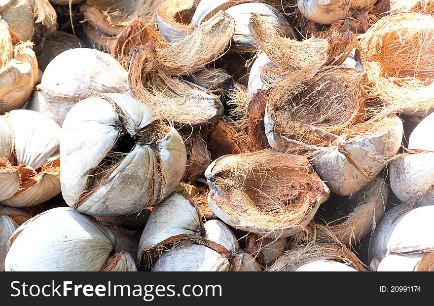 Dry coconut and dry fiber on the ground