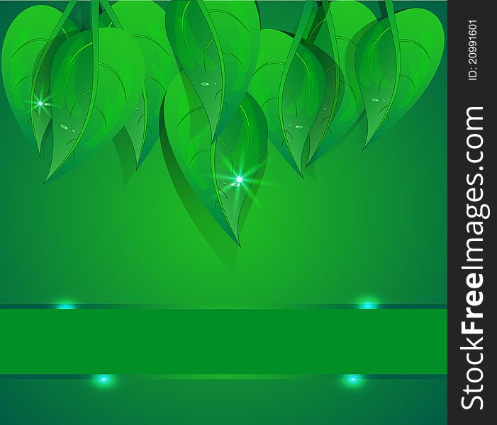 Vector background green petal and water drop. Vector background green petal and water drop.