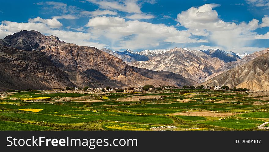 It was captured near Khardung village, Nubra valley, Ladakh, India. It was captured near Khardung village, Nubra valley, Ladakh, India