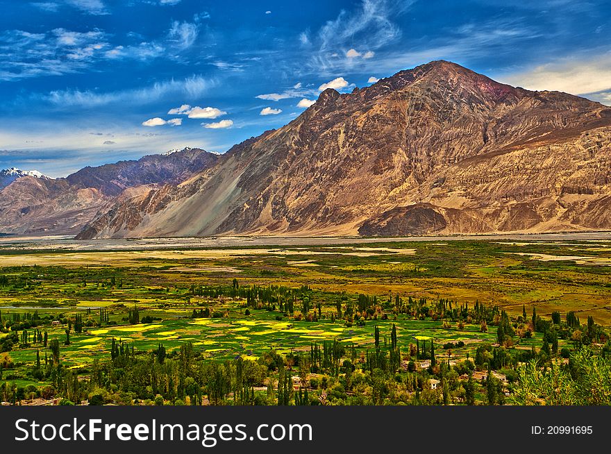 This natural beauty was captured near Khardung village, Nubra valley, Ladakh, India. This natural beauty was captured near Khardung village, Nubra valley, Ladakh, India