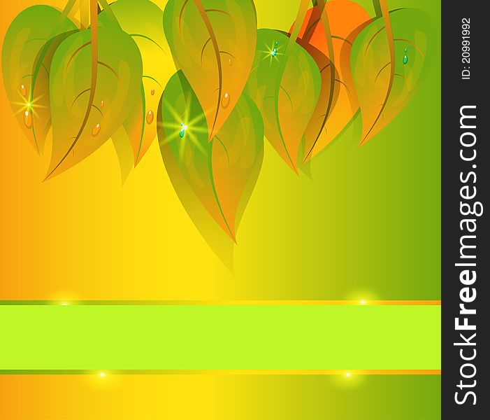 Vector autumn background and group yellow leaf