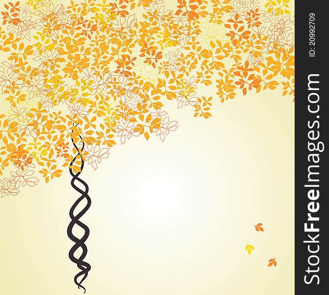 Autumn tree with yellow leaves. Fall seasonal background