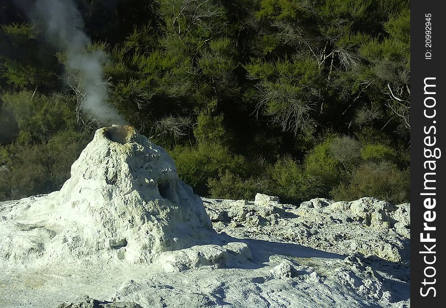 Lady Knox Geyser, New Zealand, before it erupts