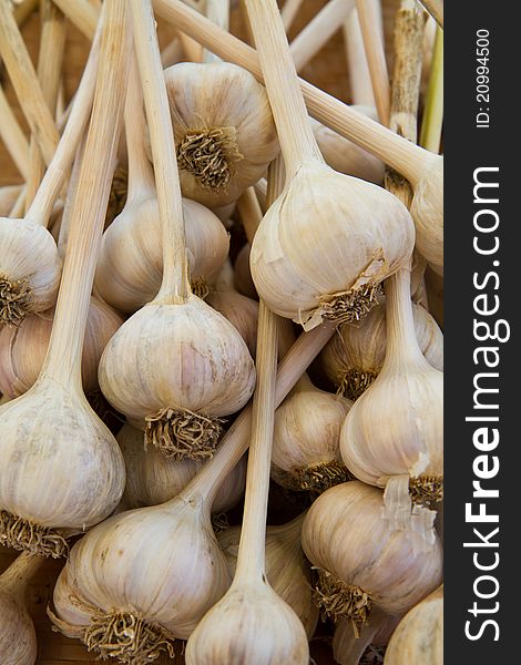 Garlic Bulbs for sale at a farmer's market