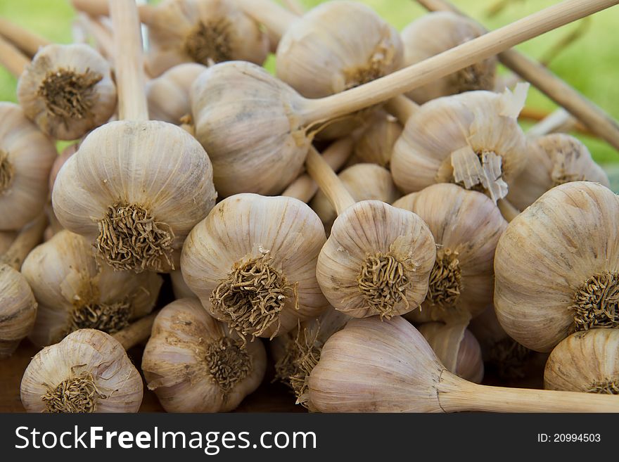 Garlic Bulbs for sale at a farmer's market