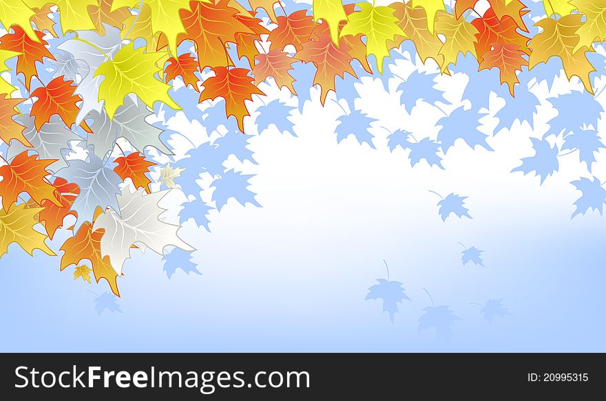 Autumn Leaves On Blue Background